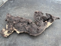 Mopami wood 13 (50cm)