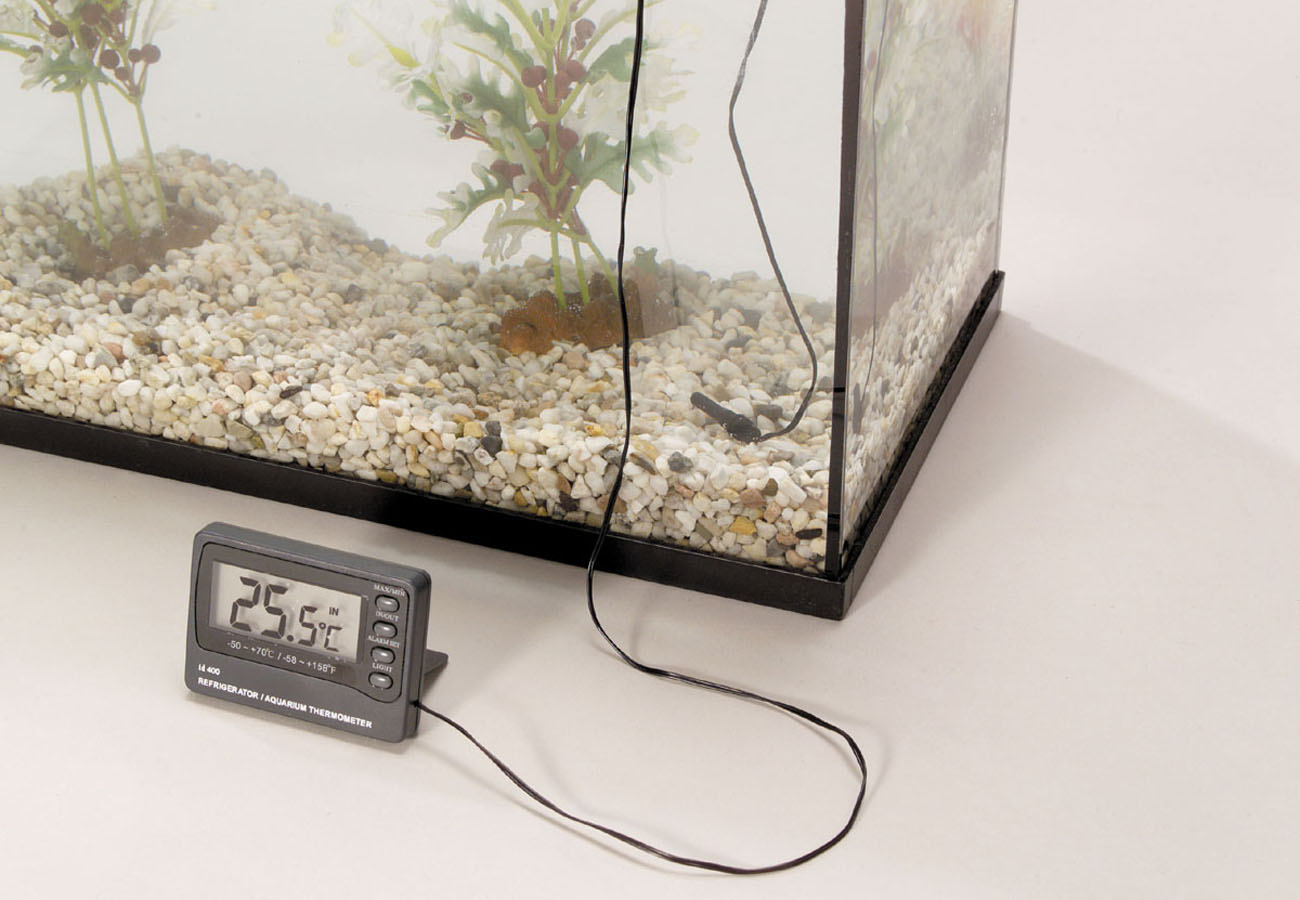 buffet Mount Bank rollen Digitale thermometer met alarm - Welkom bij aquarium-planten.com -  verwarming-temperatuur-meting