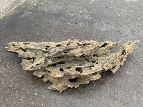 Honeycomb Wood 30 (53 cm)