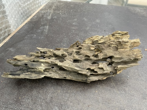 Honeycomb Wood 10 (50 cm)