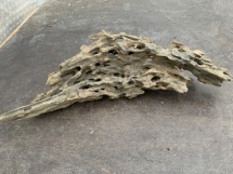 Honeycomb Wood 30 (53 cm)