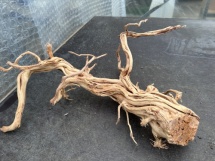 Azalea Root 1 55 cm