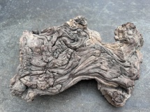 Mopami wood 4 (40cm)