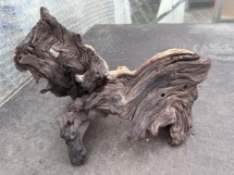 Mopami wood 20 (42cm)