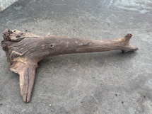 Mopami wood 23 (45cm)